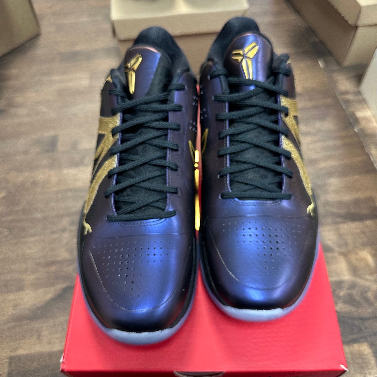 Eggplant Kobe 5 Protro (USED)