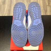 Nike Dunk Low Polar Blue (Used)