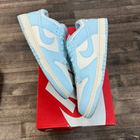 Arctic Blue Nike Dunk Low (USED, No Box)