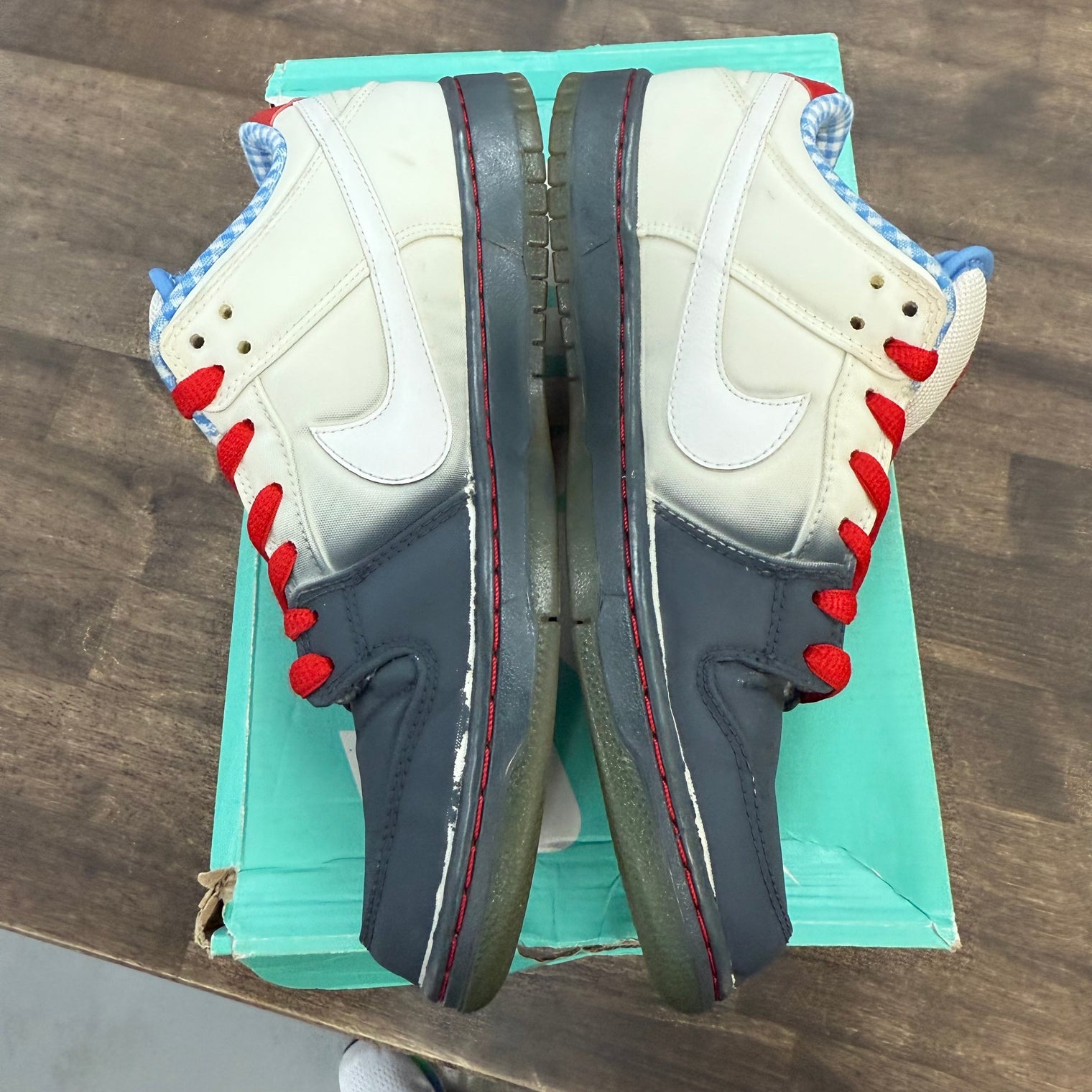 Dorothy SB Dunk Low (USED)