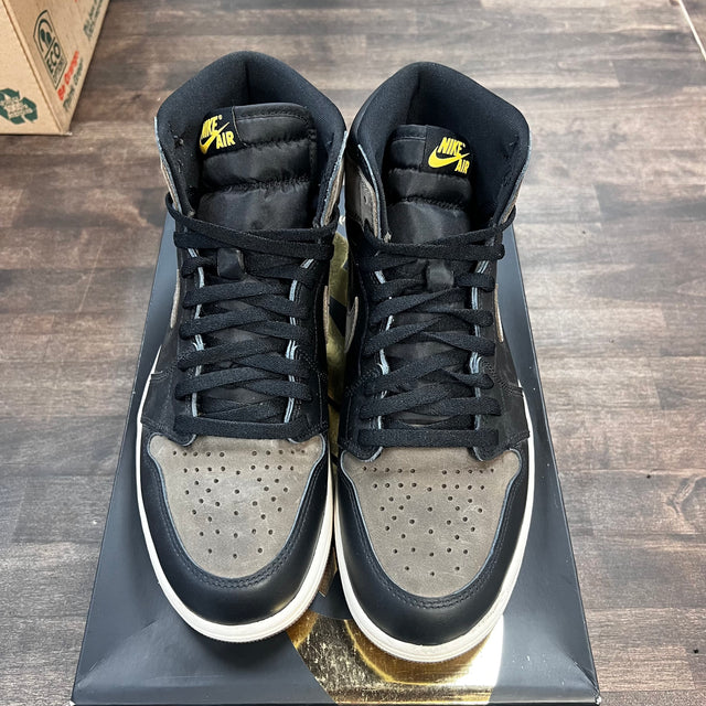 Palomino Jordan 1 High (USED)