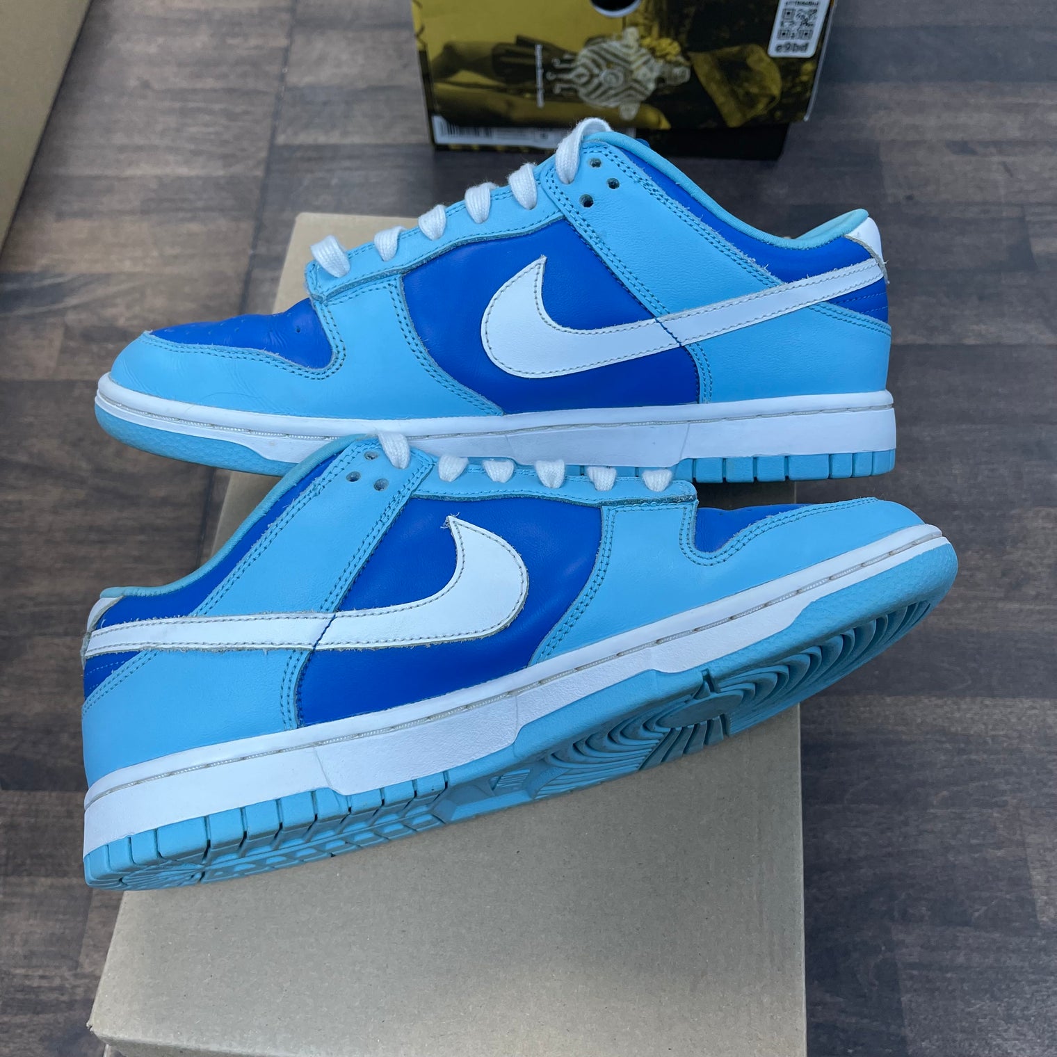 Argon Dunk Low (USED, No Box)