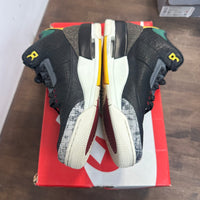 Animal Instinct Jordan 3 SE 2.0 (USED,No Box)
