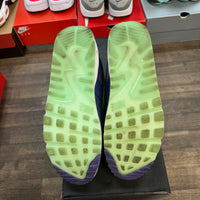 Violet Blend Nike Air Max 90 (USED)