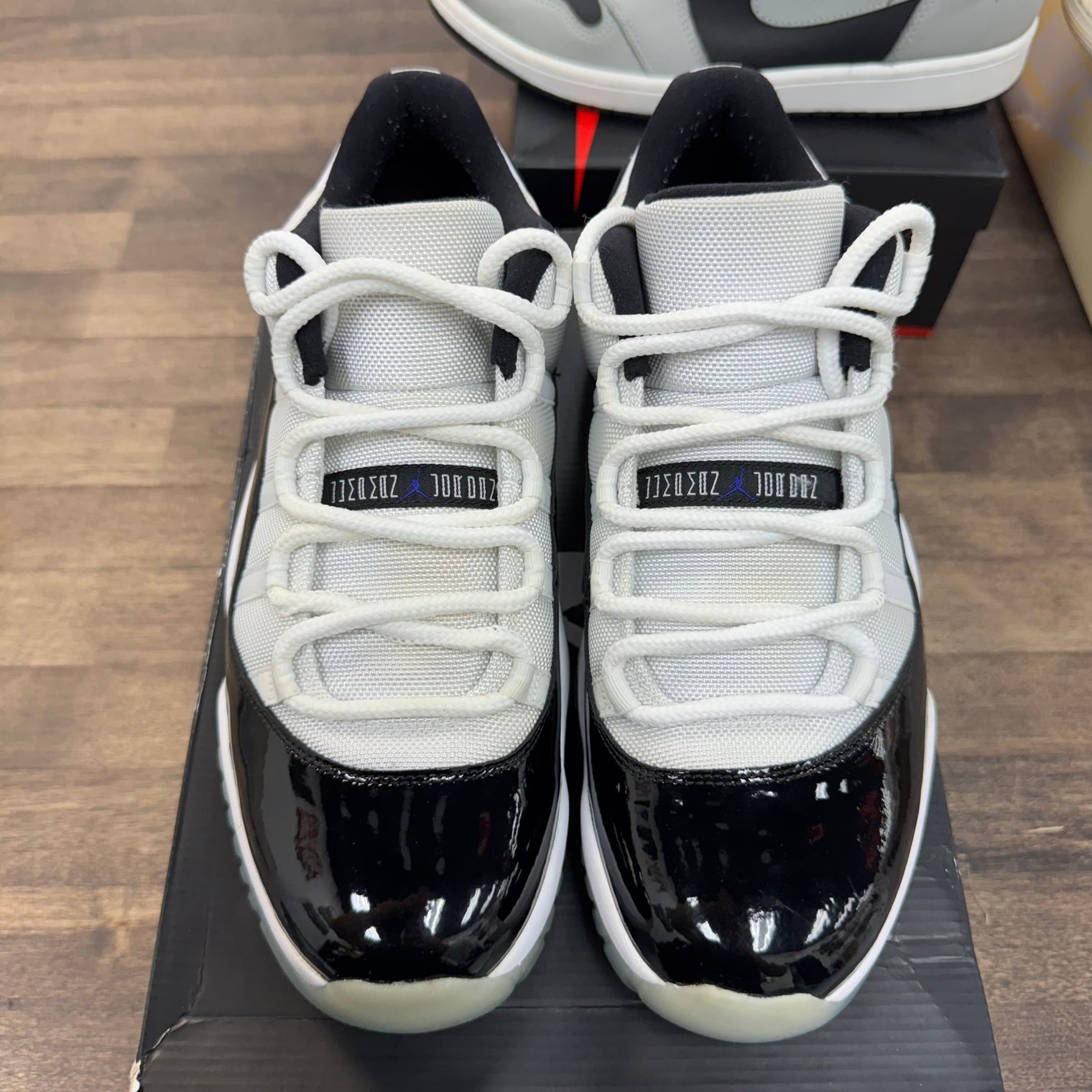 Concord Jordan 11 Low (Lightly Worn)