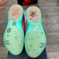 Easter Kobe 10 (GS) (USED)