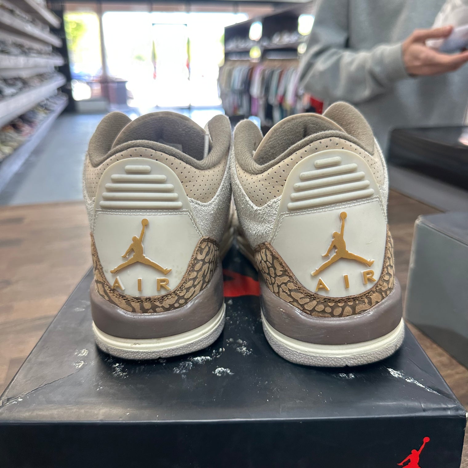 Palomino Jordan 3 (GS) (USED)