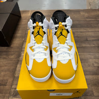 Yellow Ochre Jordan 6 Retro (Lightly Worn)