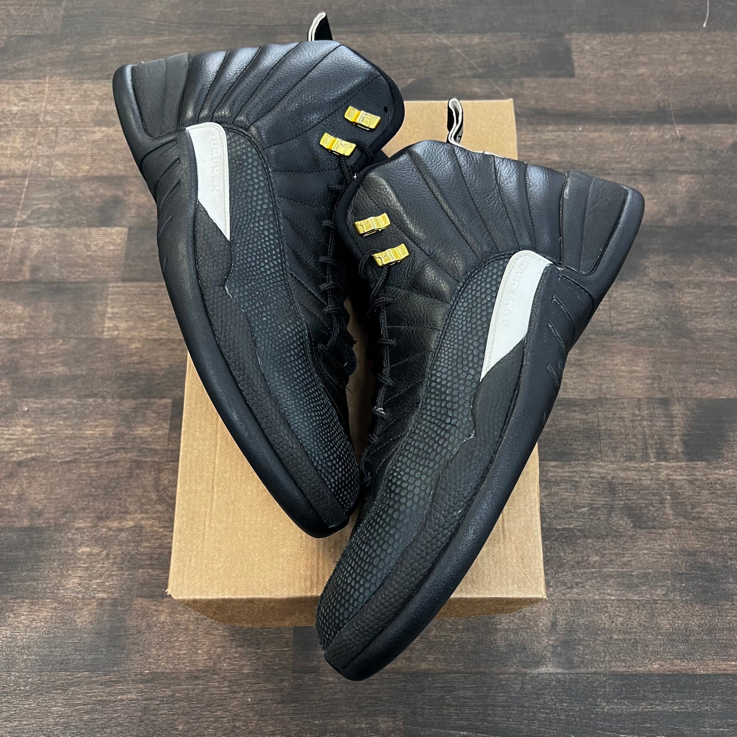 The Master Jordan 12 Retro (USED, no box)