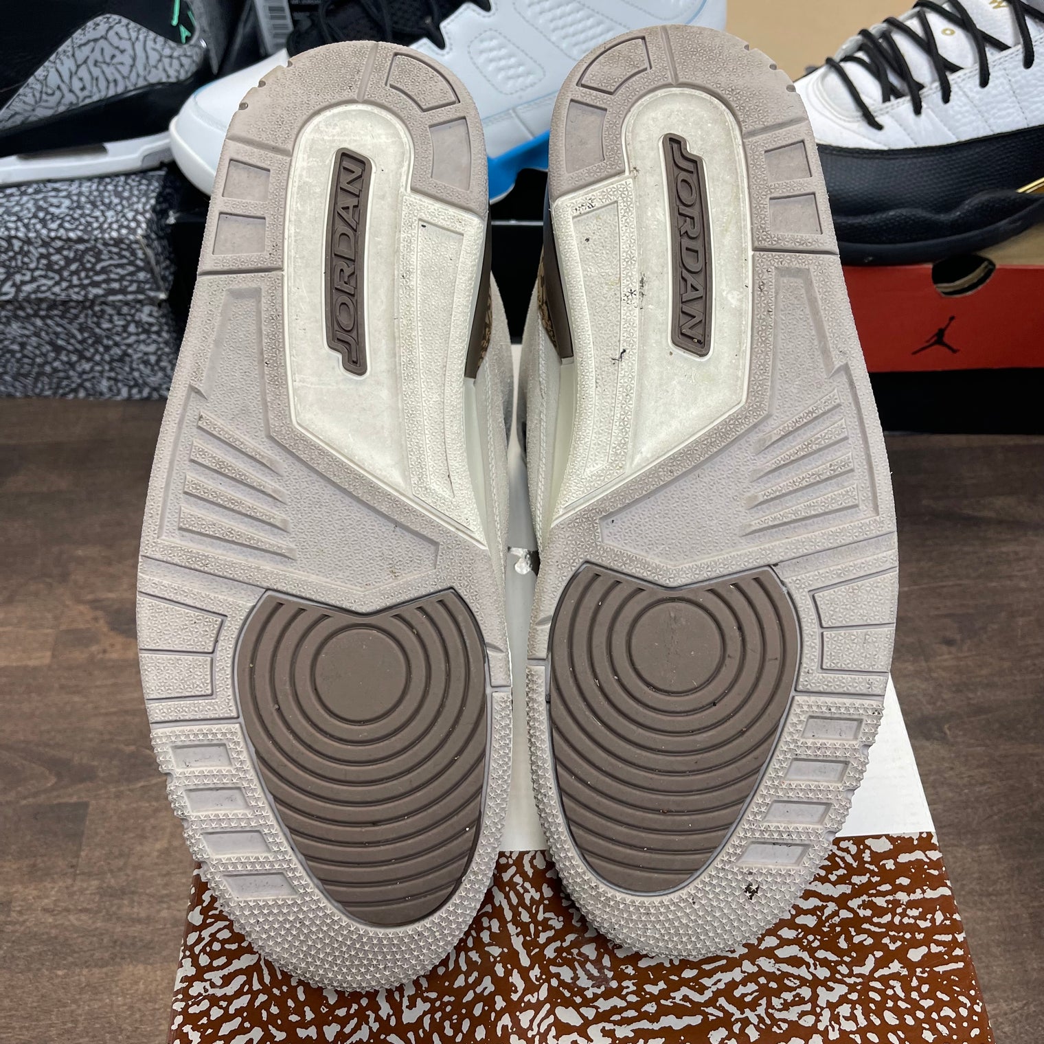 Palomino Jordan 3 (USED)