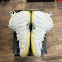 Wolf Grey Suede Nike Air Foamposite One (USED)