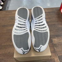 Stealth Jordan 12 (USED, No Box)