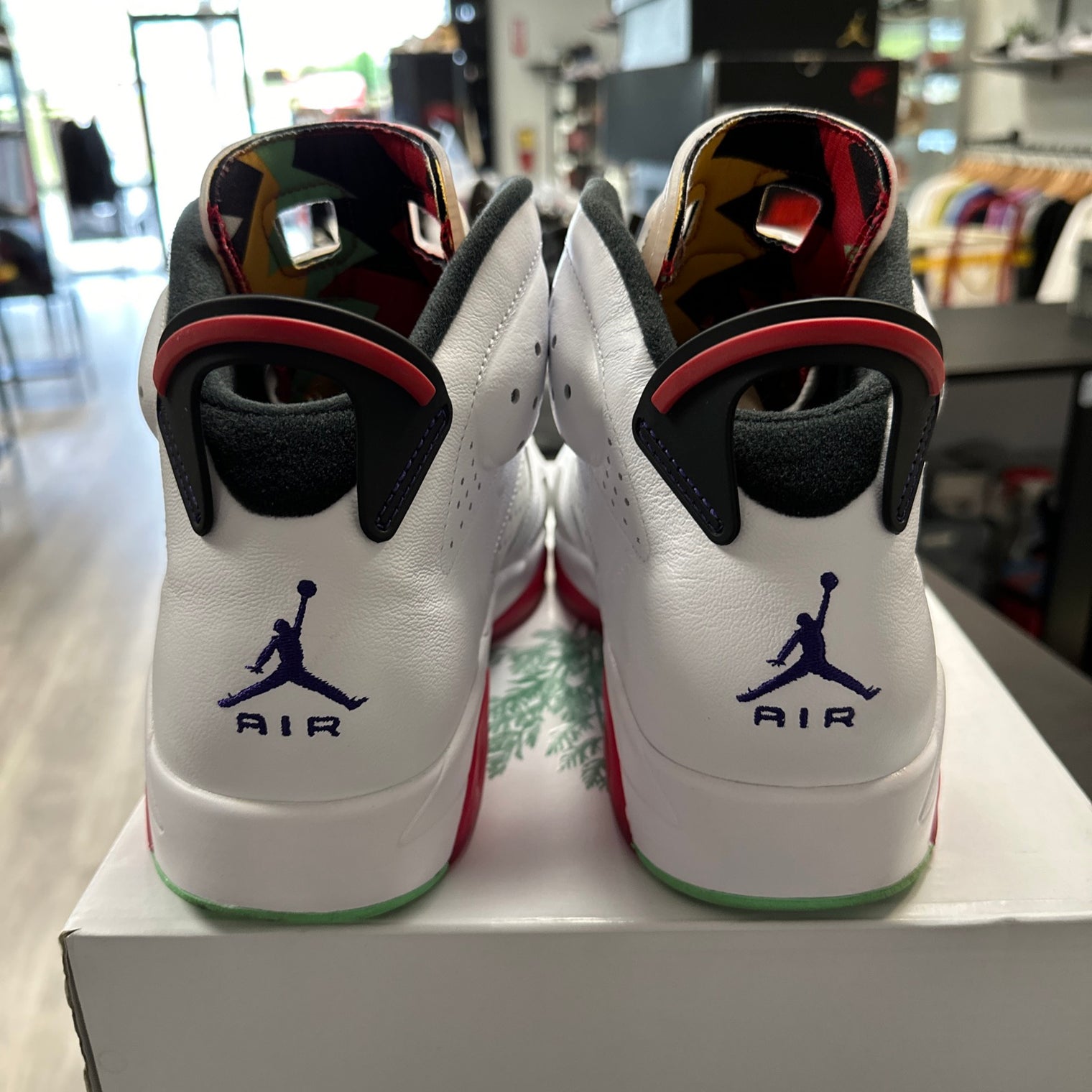 Hare Jordan 6 (USED)