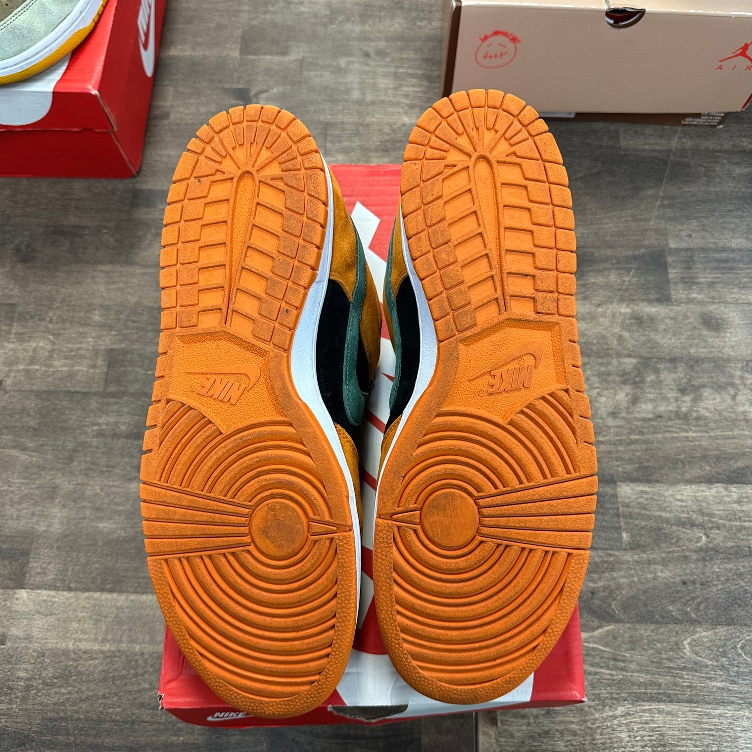 Ceramic Nike Dunk Low (USED)