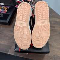 Black Crimson Tint Jordan 1 High Retro (USED)