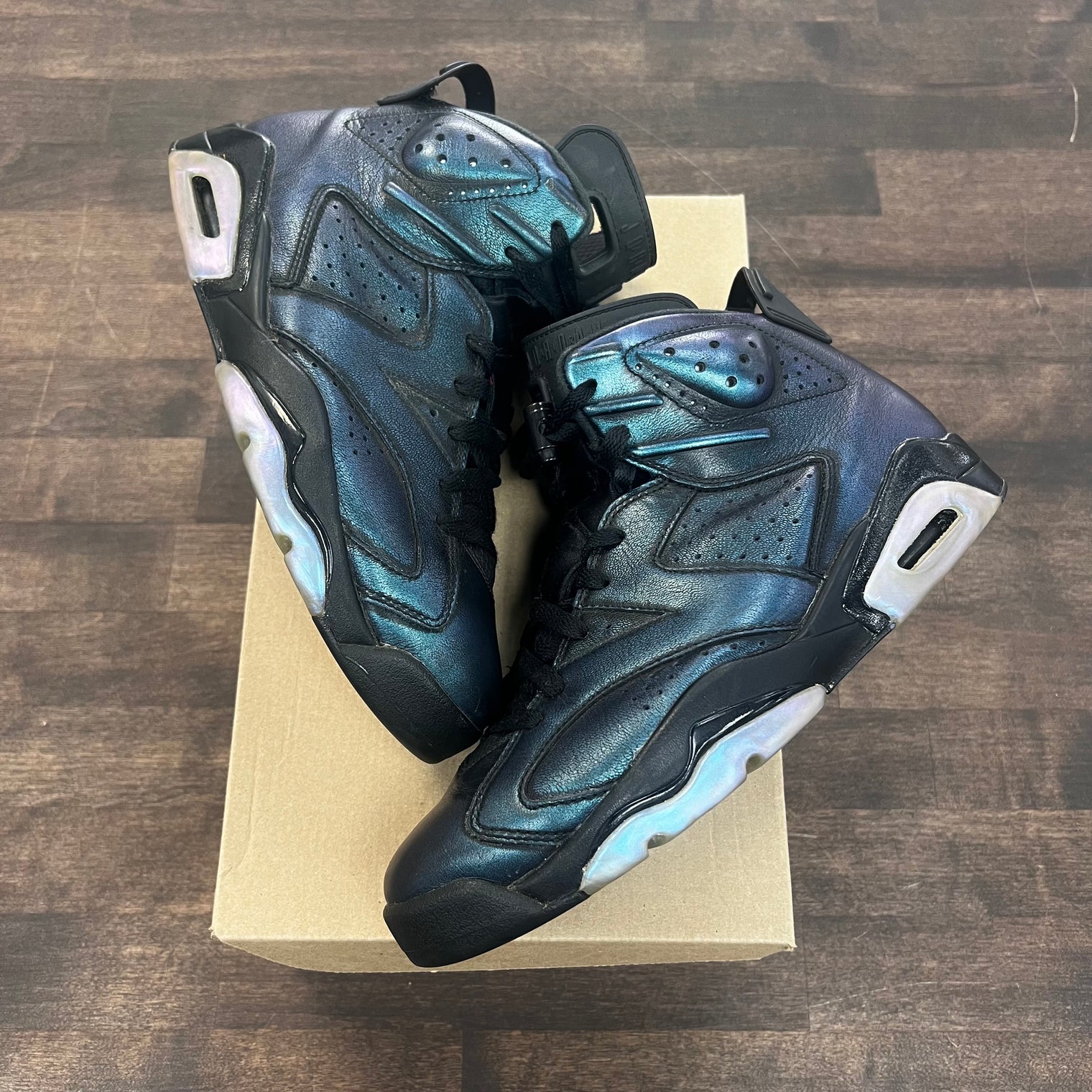 Chameleon Jordan 6 Retro (USED)
