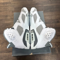 Cool Grey Jordan 6 (Lightly Worn)