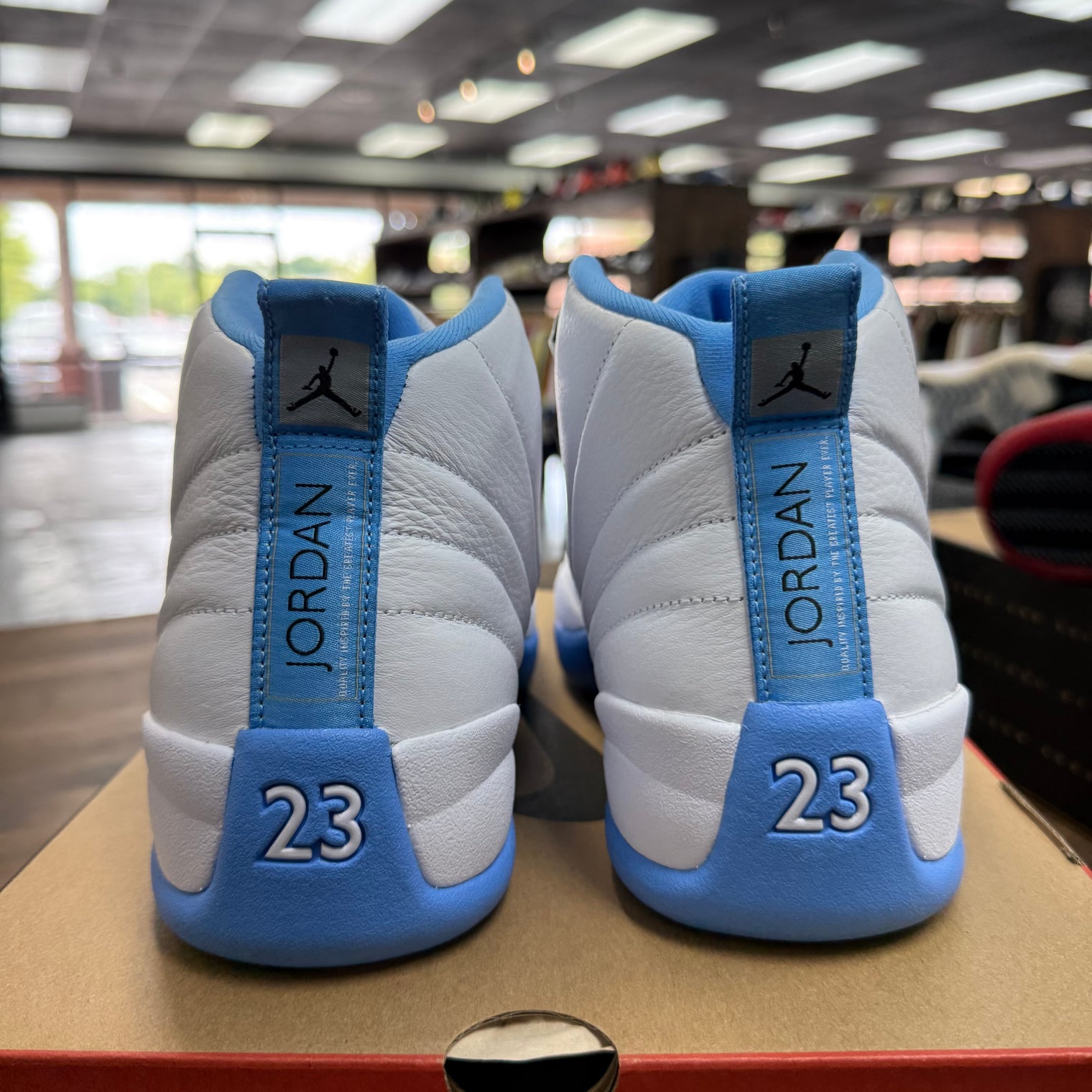 Melo Jordan 12 (2025) (USED)