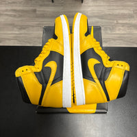 Pollen Jordan 1 High (USED)