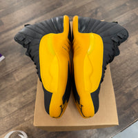 University Gold Jordan 12 (USED, No Box)