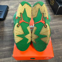 Gatorade Green Jordan 6 Retro (USED)