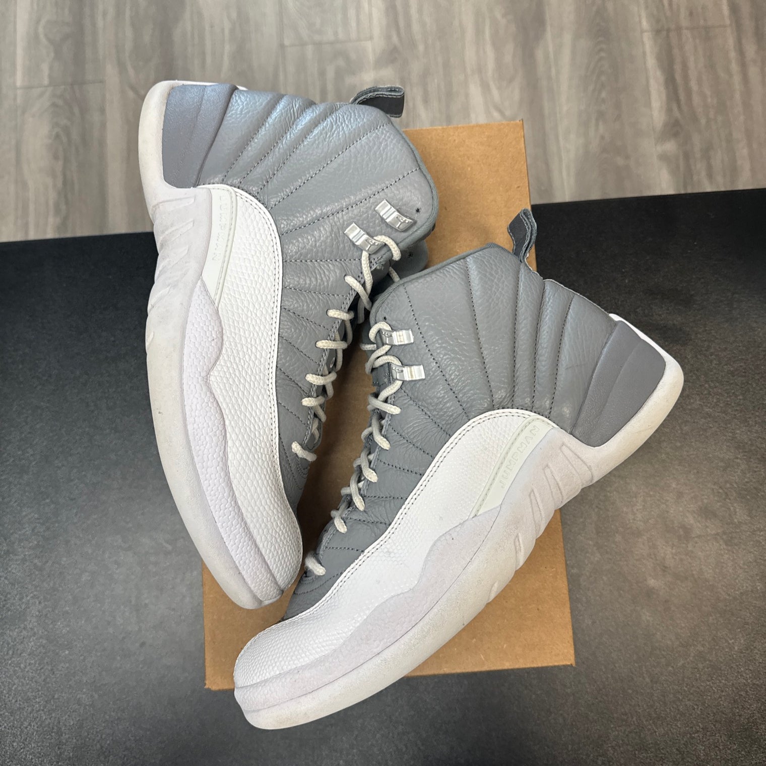 Stealth Jordan 12 (USED, No Box)