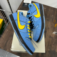 Bubbles Power Puff SB Dunk Low (USED)