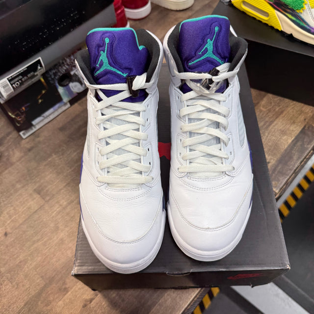 Jordan 5 Retro Grape (2025) (USED)