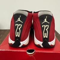 Toro Jordan 14 (USED)