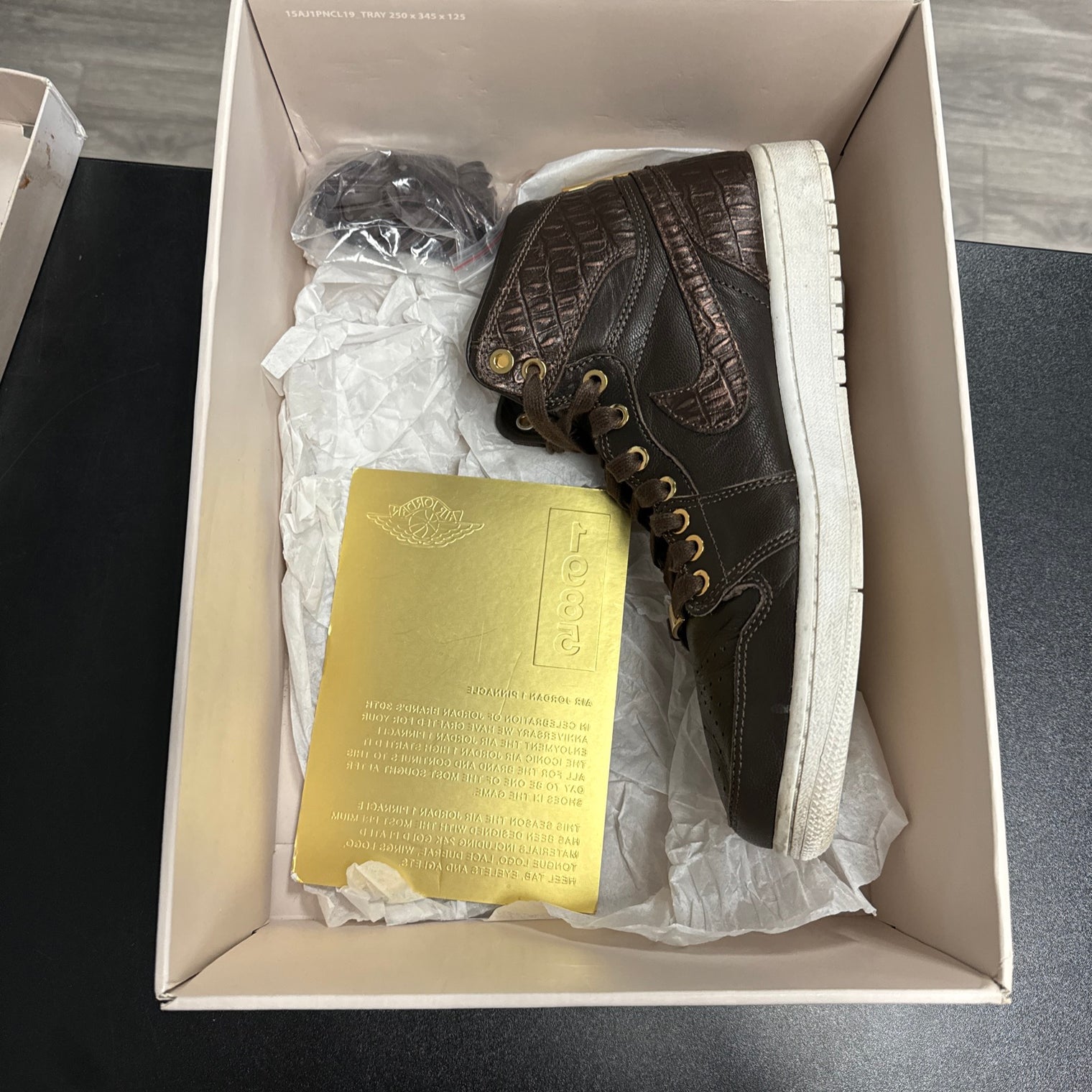 Pinnacle Baroque Brown Jordan 1 High (USED)