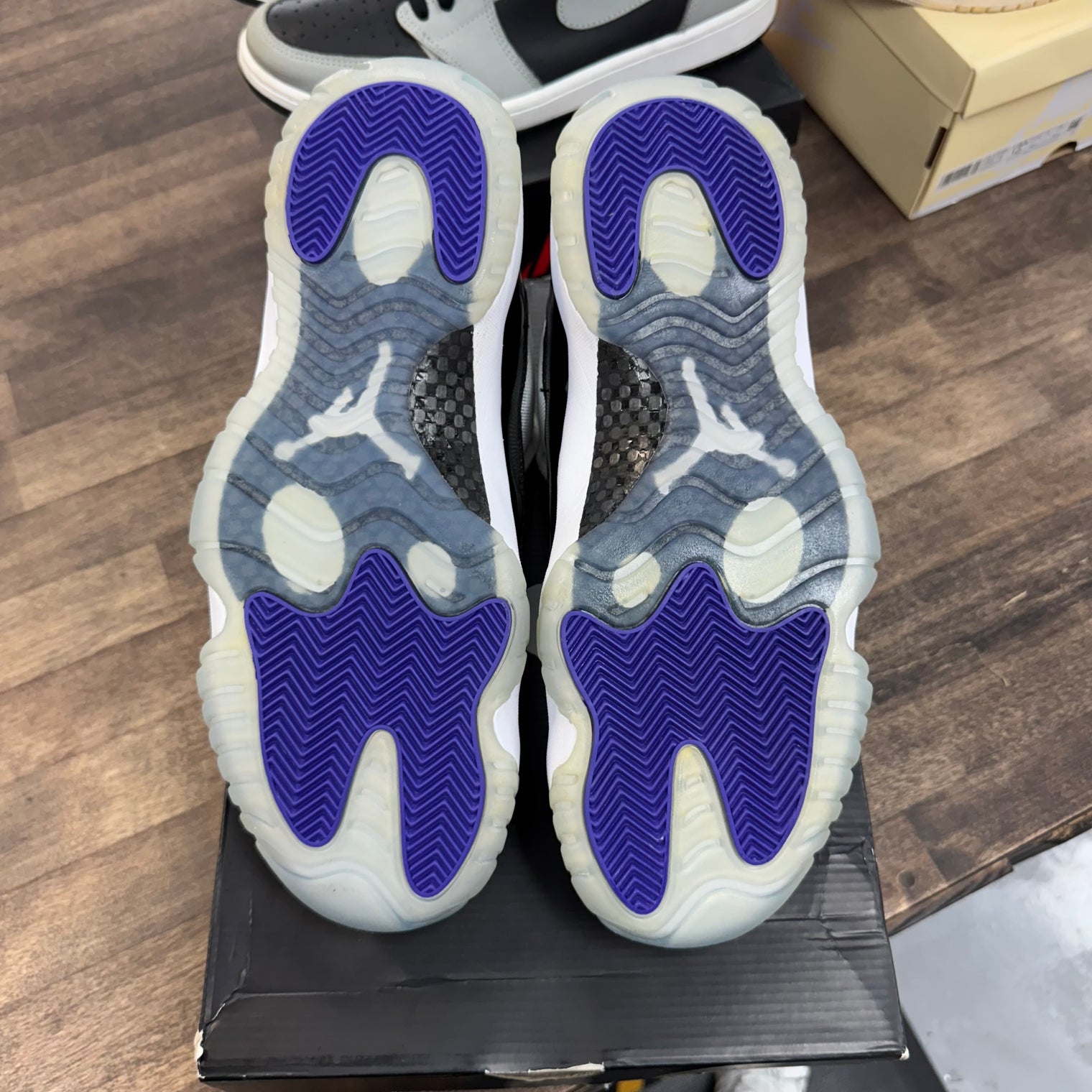 Concord Jordan 11 Low (Lightly Worn)