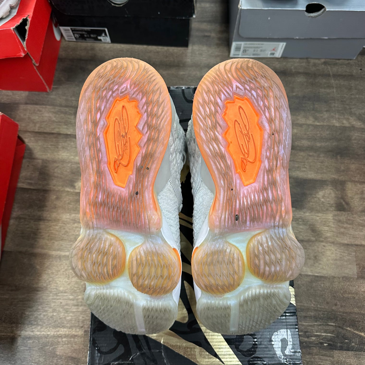 Future Air Nike Lebron 17 (US 8.5) (USED)