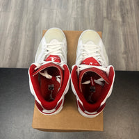 Alternate Hare Jordan 6 (USED, No Box)