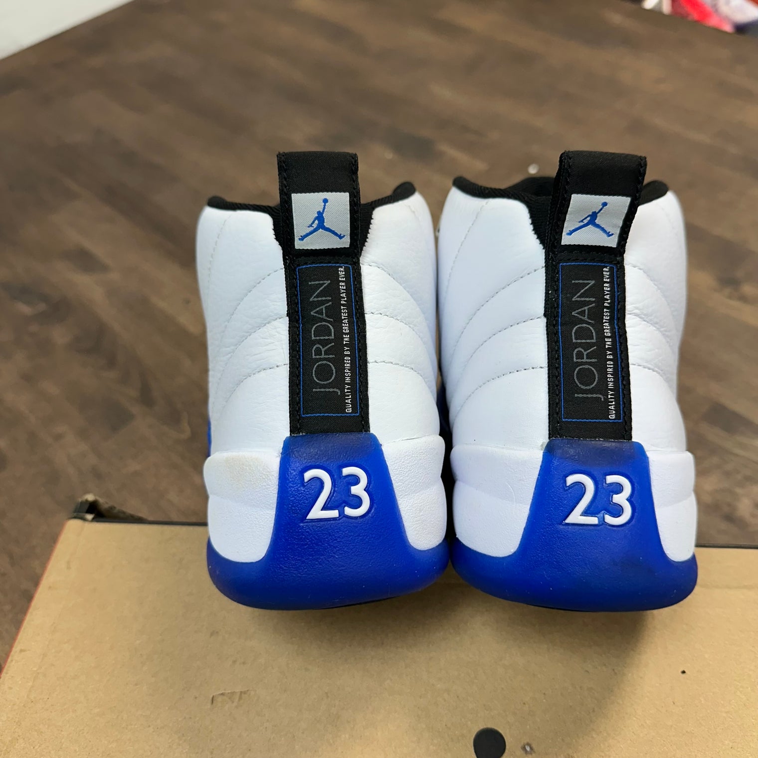 Blueberry Jordan 12 (USED)