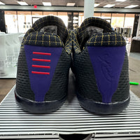 Carpe Diem Nike Kobe 11 (USED)