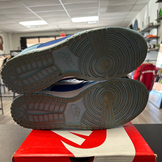 Nike Dunk Low Argon (Used)