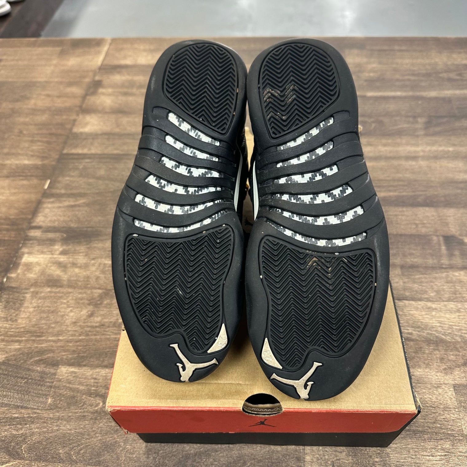 The Master Jordan 12 (USED)