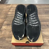 The Master Jordan 12 (USED)