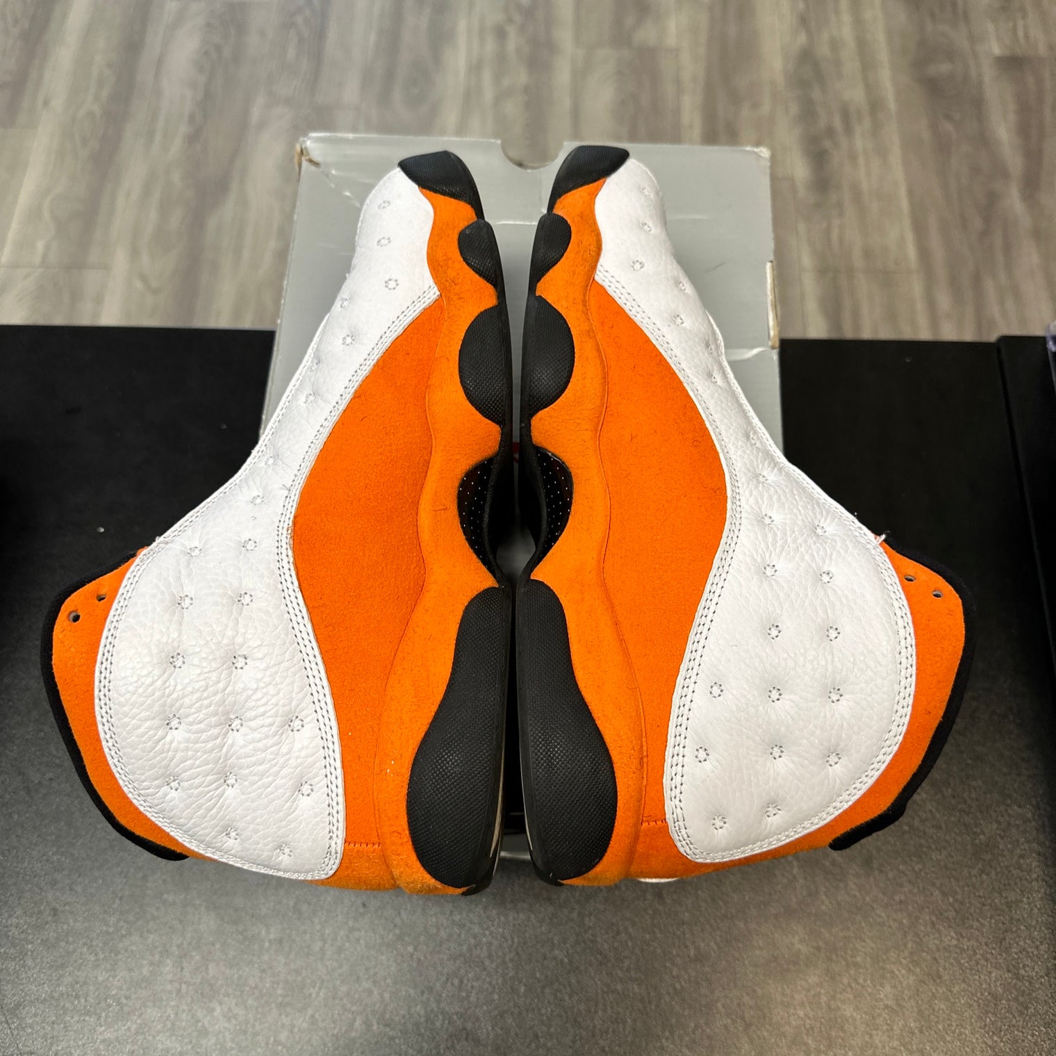 Starfish Jordan 13 (USED)