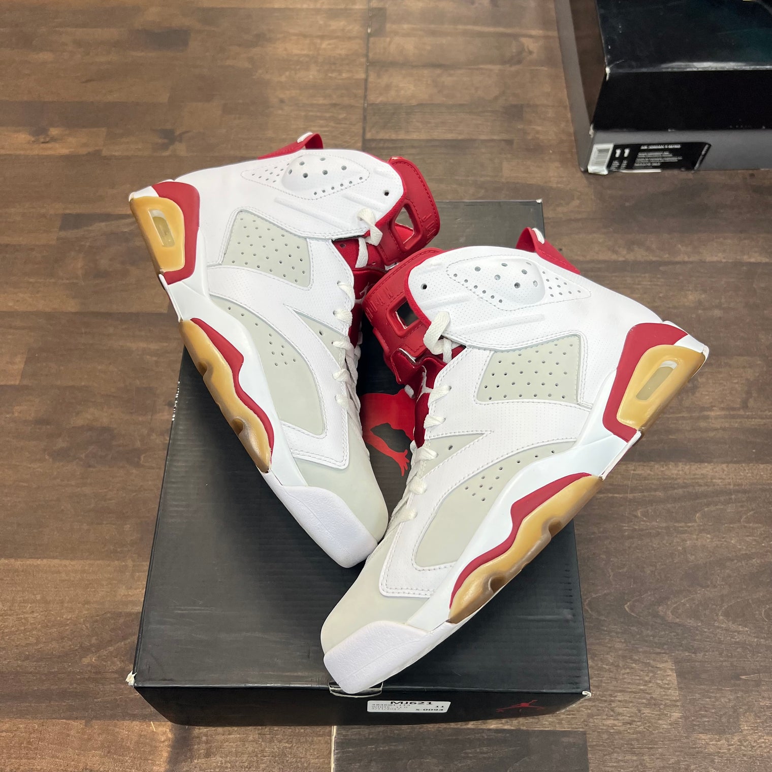 Alternate Hare Jordan 6 (USED)