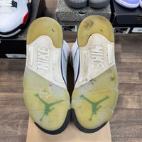 Grape Jordan 5 (2013) (USED, No Box)