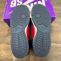 Supreme By Any Means SB Dunk High (USED)