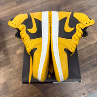 Pollen Jordan 1 High (USED)