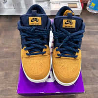 90s Backpack SB Dunk Low (USED)