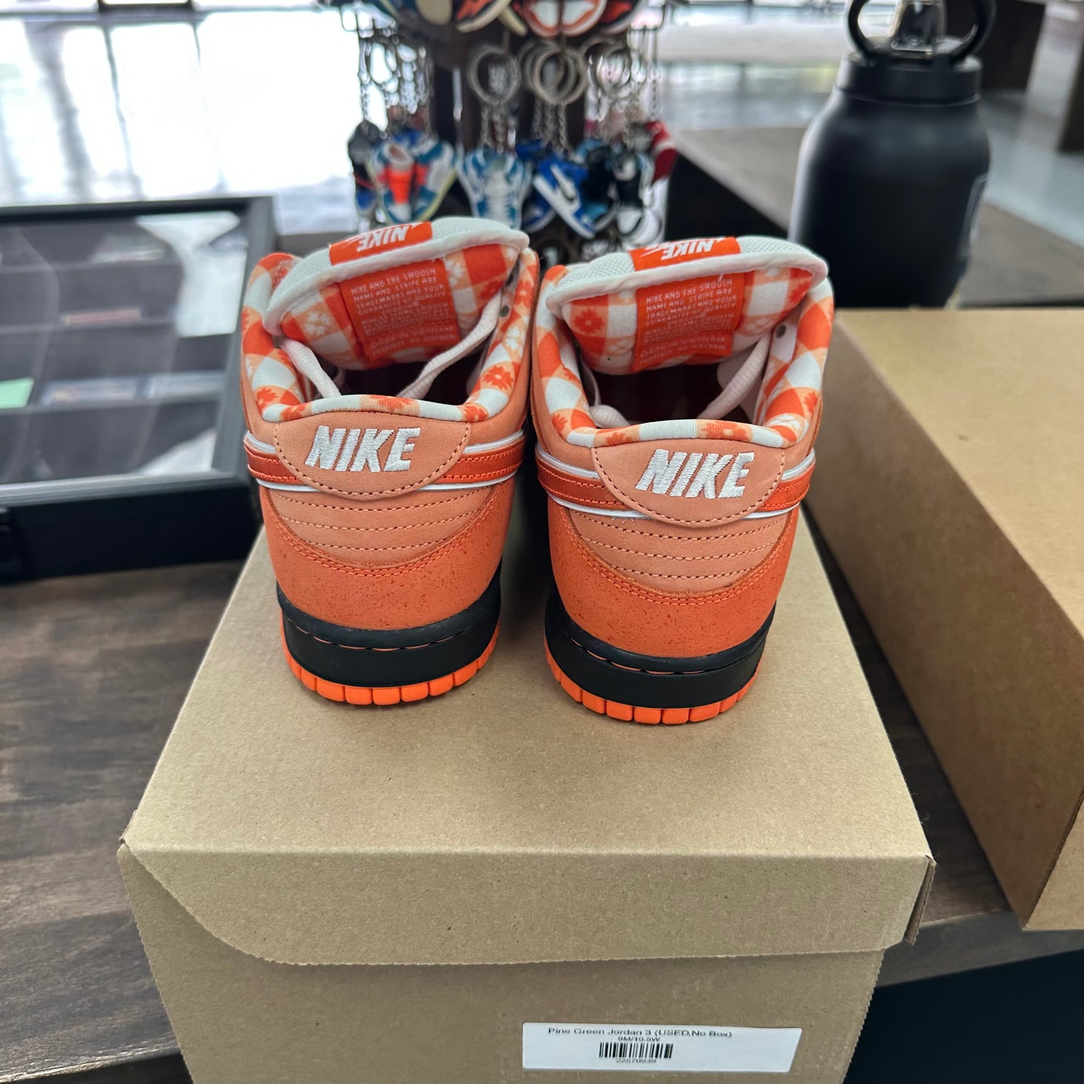 Orange Lobster SB Dunk Low (USED, No Box)