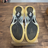 Penny Nike Foamposite (USED, No Box)