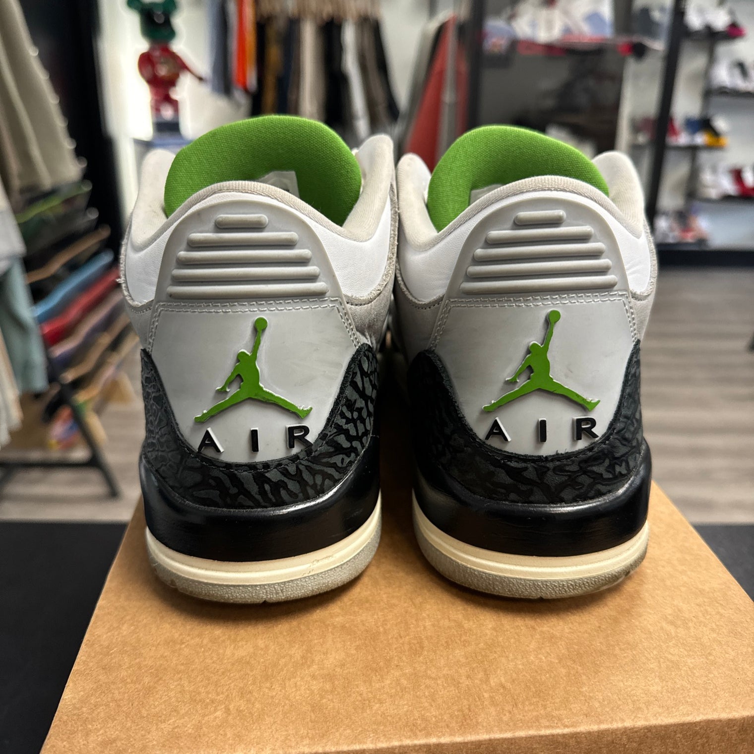 Chlorophyll Jordan 3 (USED, No Box)