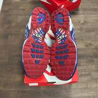 White Red Blue Air Max Plus (Used)