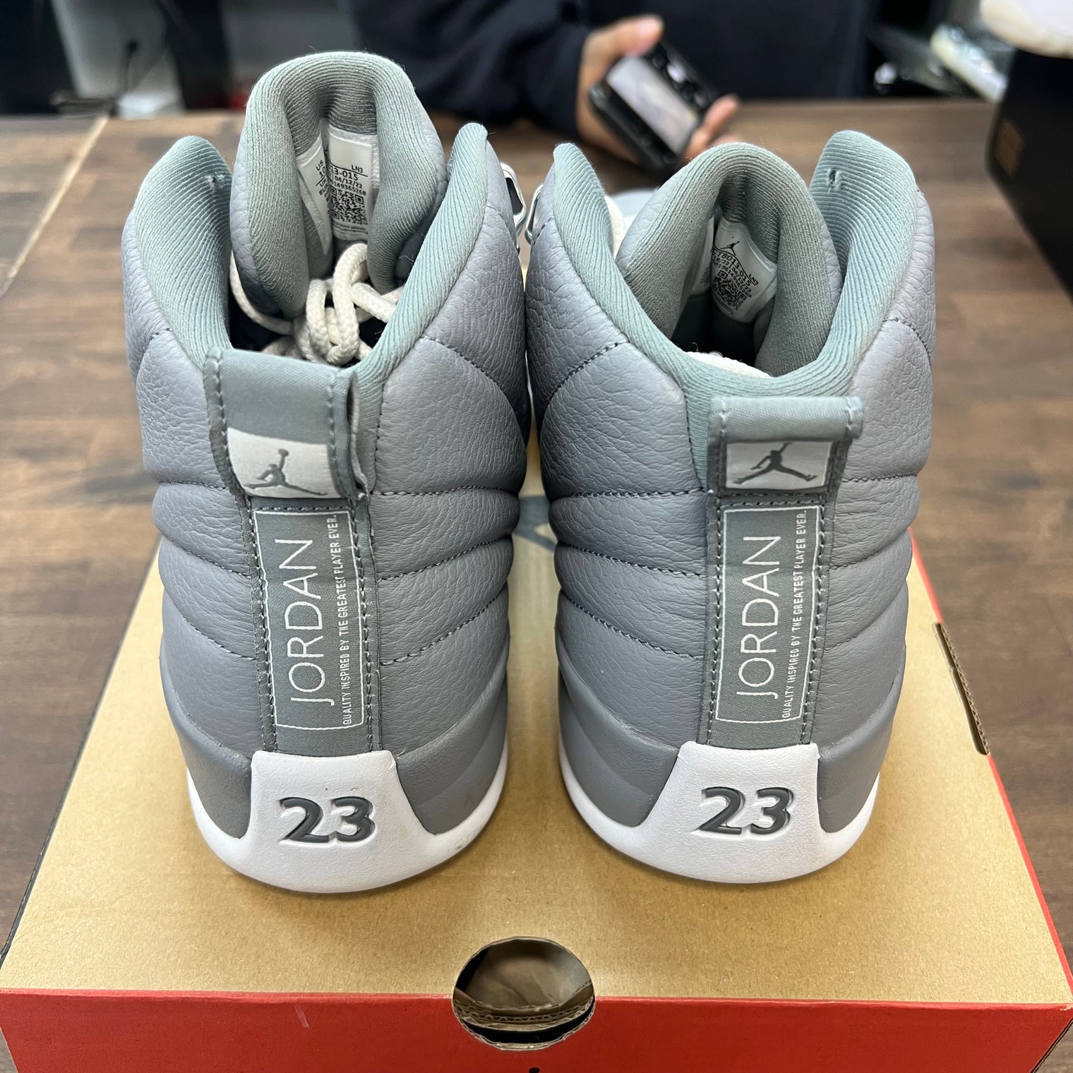 Stealth Jordan 12 (USED)