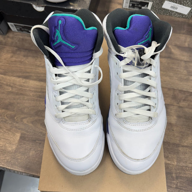 Grape Jordan 5 (2013) (USED, No Box)